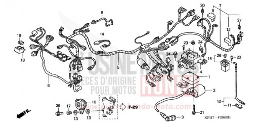 WIRE HARNESS (1) ANF125T6 de 2006